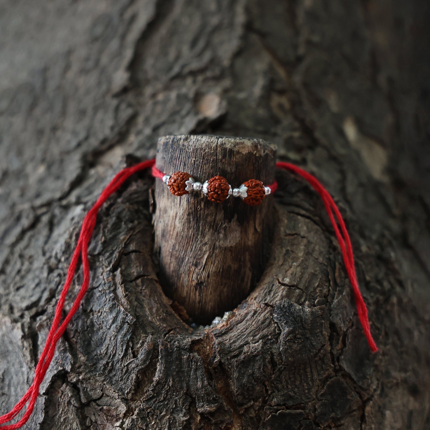 Trio Rudraksh Rakhi in Silver