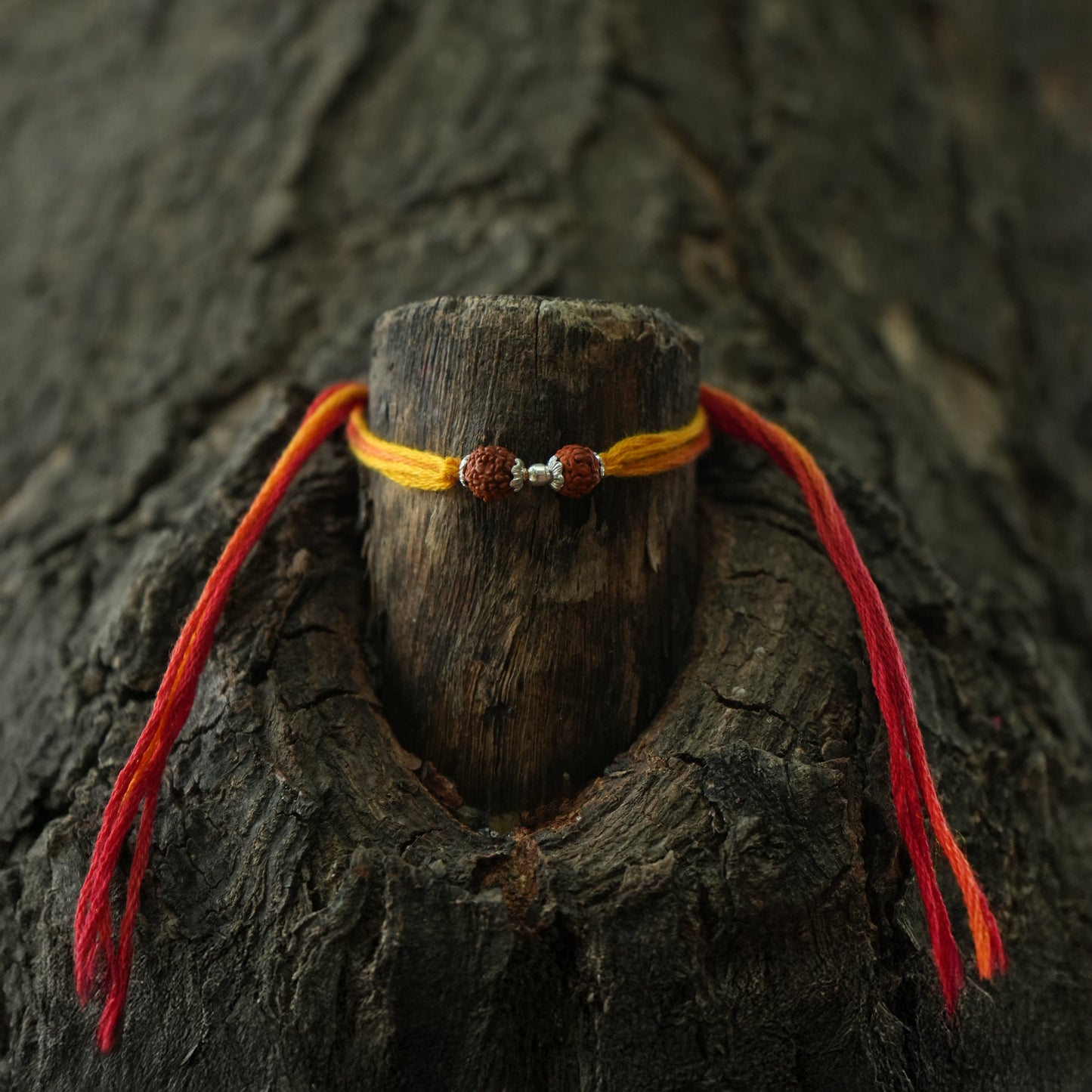 Spiritual Silver Rakhi Double Rudraksha Design