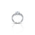 White American Diamond Studded Silver Ring