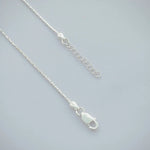 Load image into Gallery viewer, Elegant Silver Anklet with Black Moti and Multi-Design Beads
